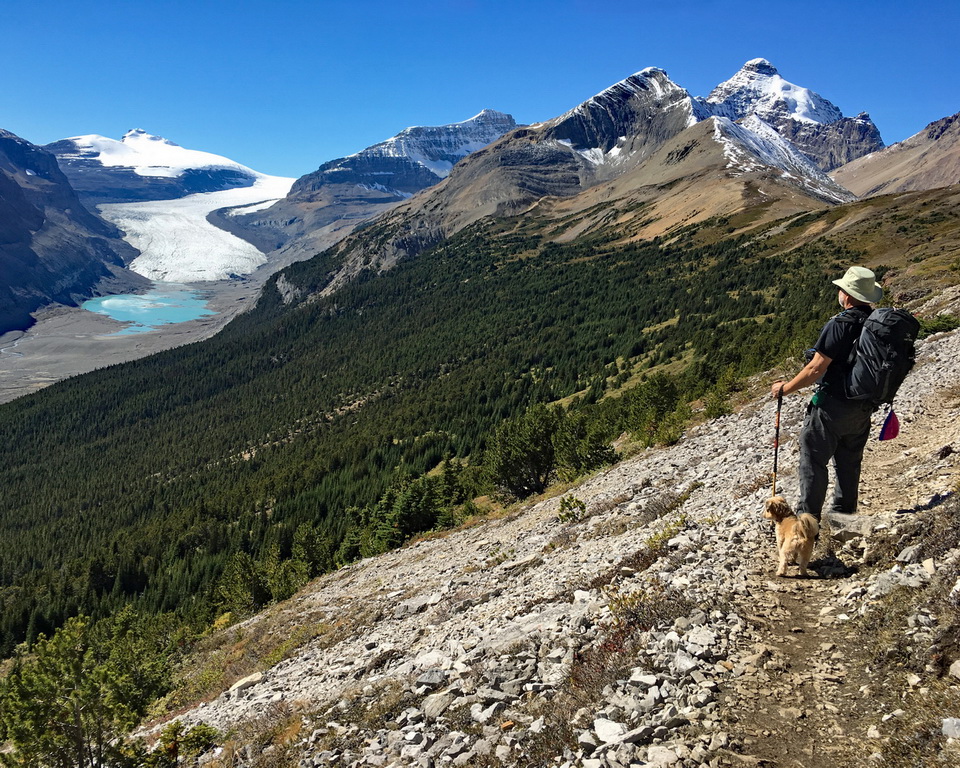 A man and dog standing on a trail, mountainside looking out at the view